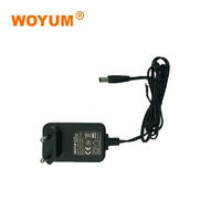 WOYUM DC 12V 2A Power Supply Adapter, AC 100-240V to DC 12Volt Transformers, Switching Power Source Adaptor for 12V electronic devices and power tools, 24W Max, EU Plug