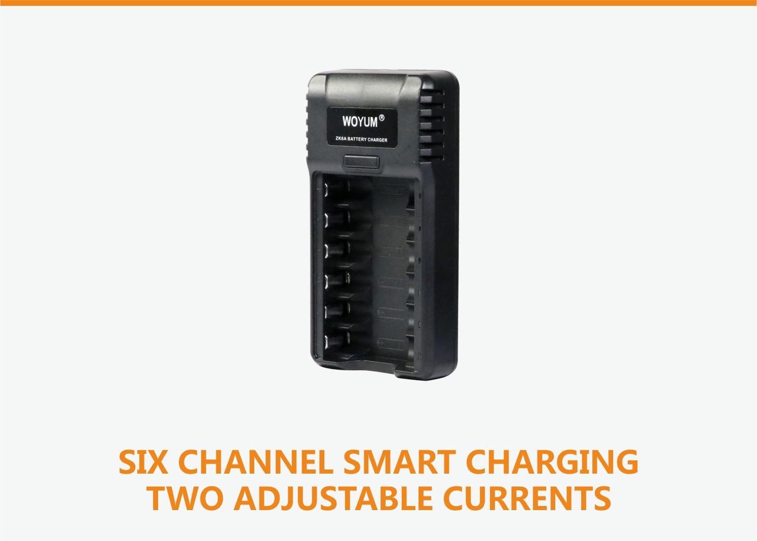 Woyum best aa battery charger supplier for Ni-MH-1